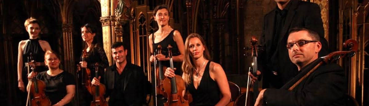 Orchestre Les Violons de France
