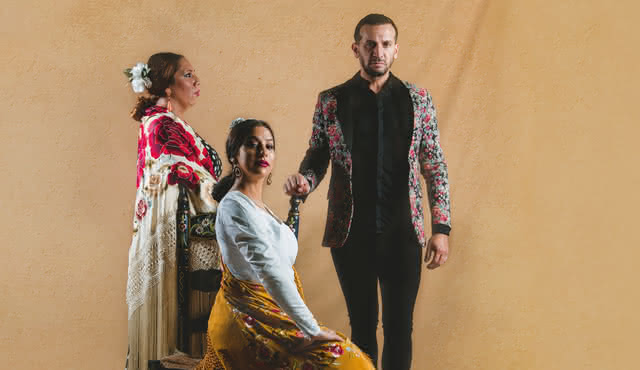 Spectacle de flamenco au cœur de Grenade