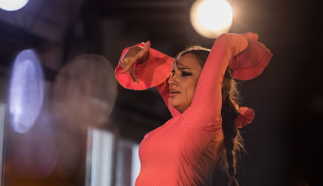 Flamenco‐Show in den Jardines de Zoraya